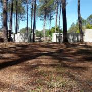 IMG_20190430_141445